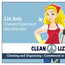 Clean Lizzie