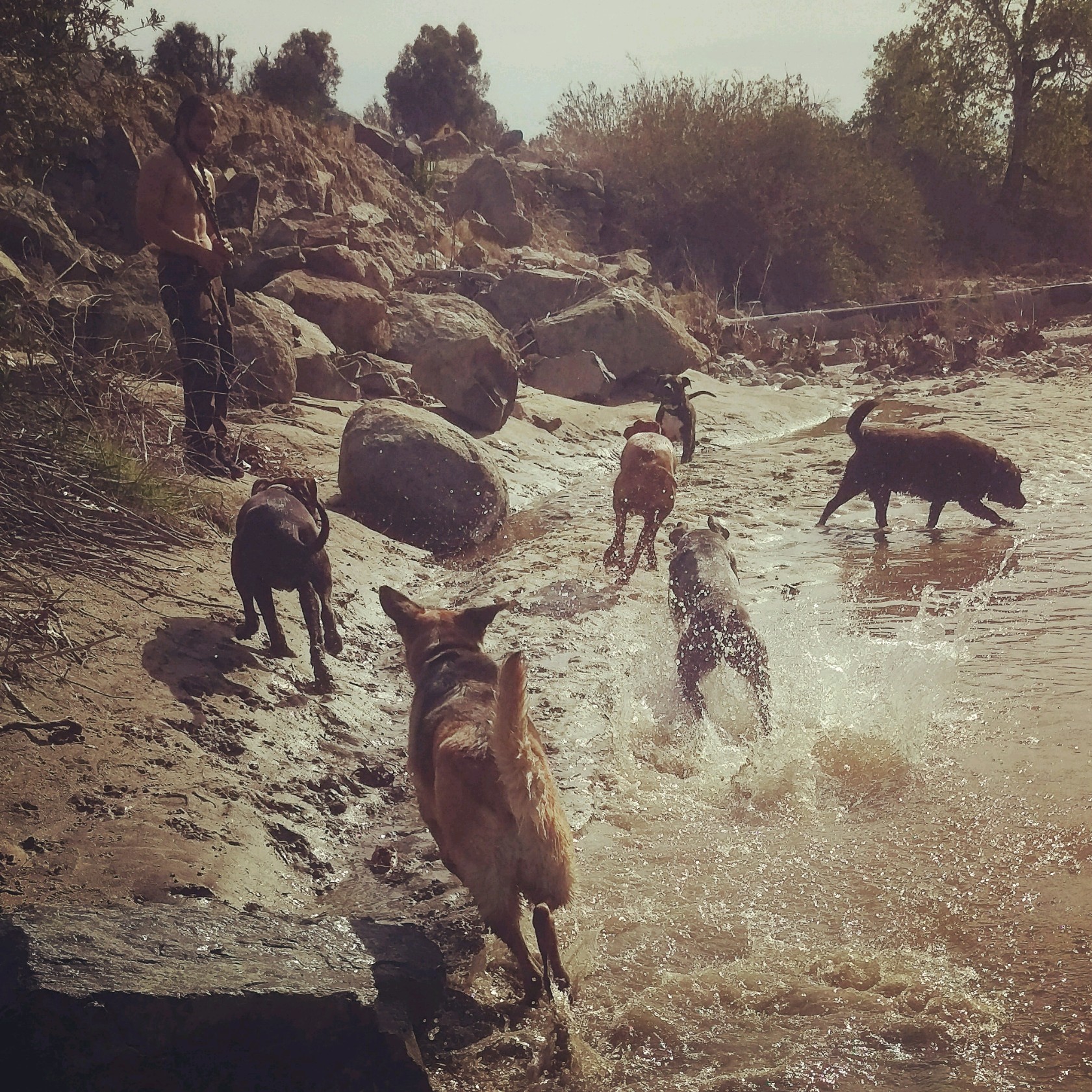 Terra Dog Services's Photo