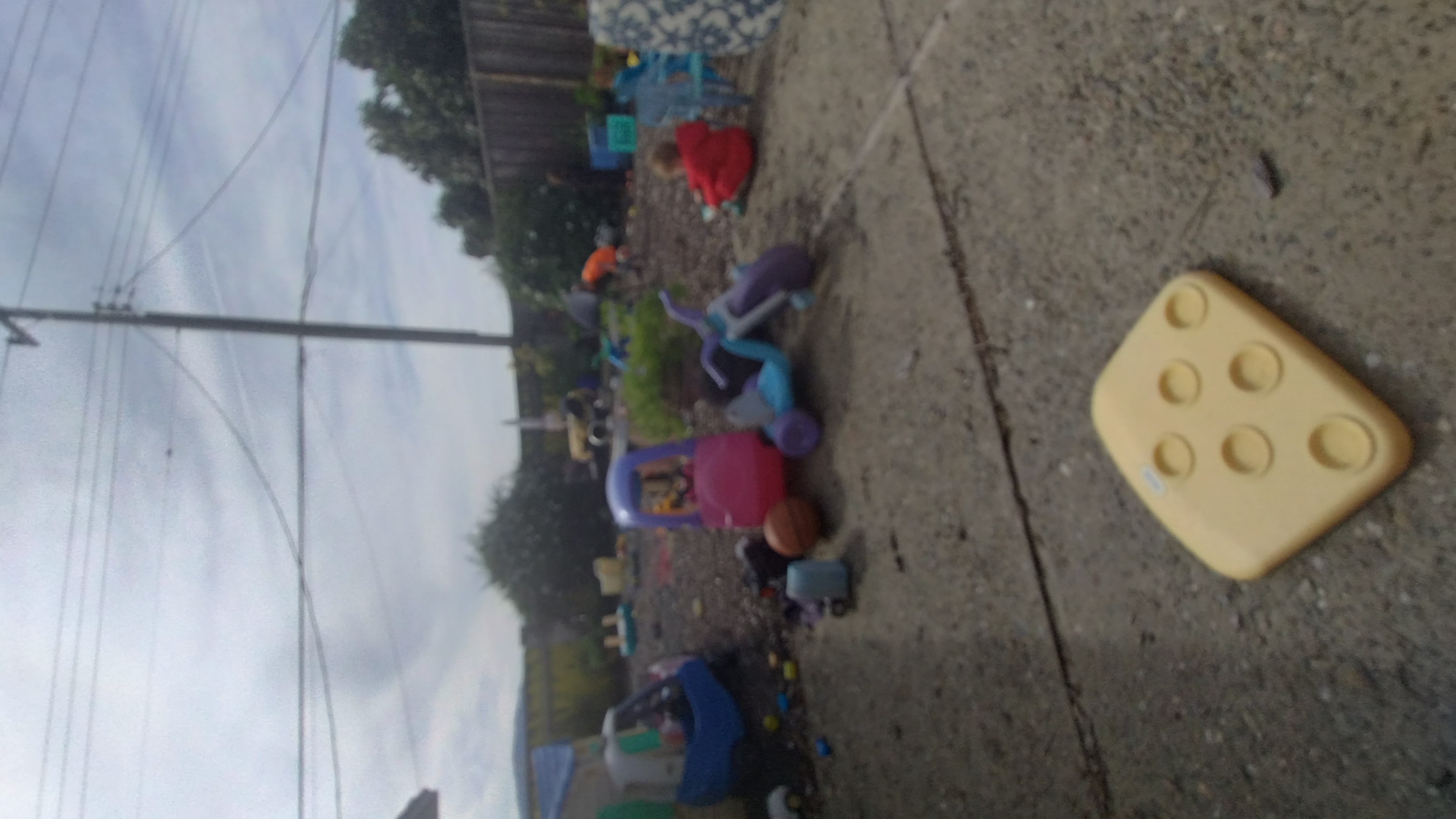 Nature Nurture's Photo