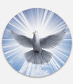 L and A Divine Helpers home care's Photo