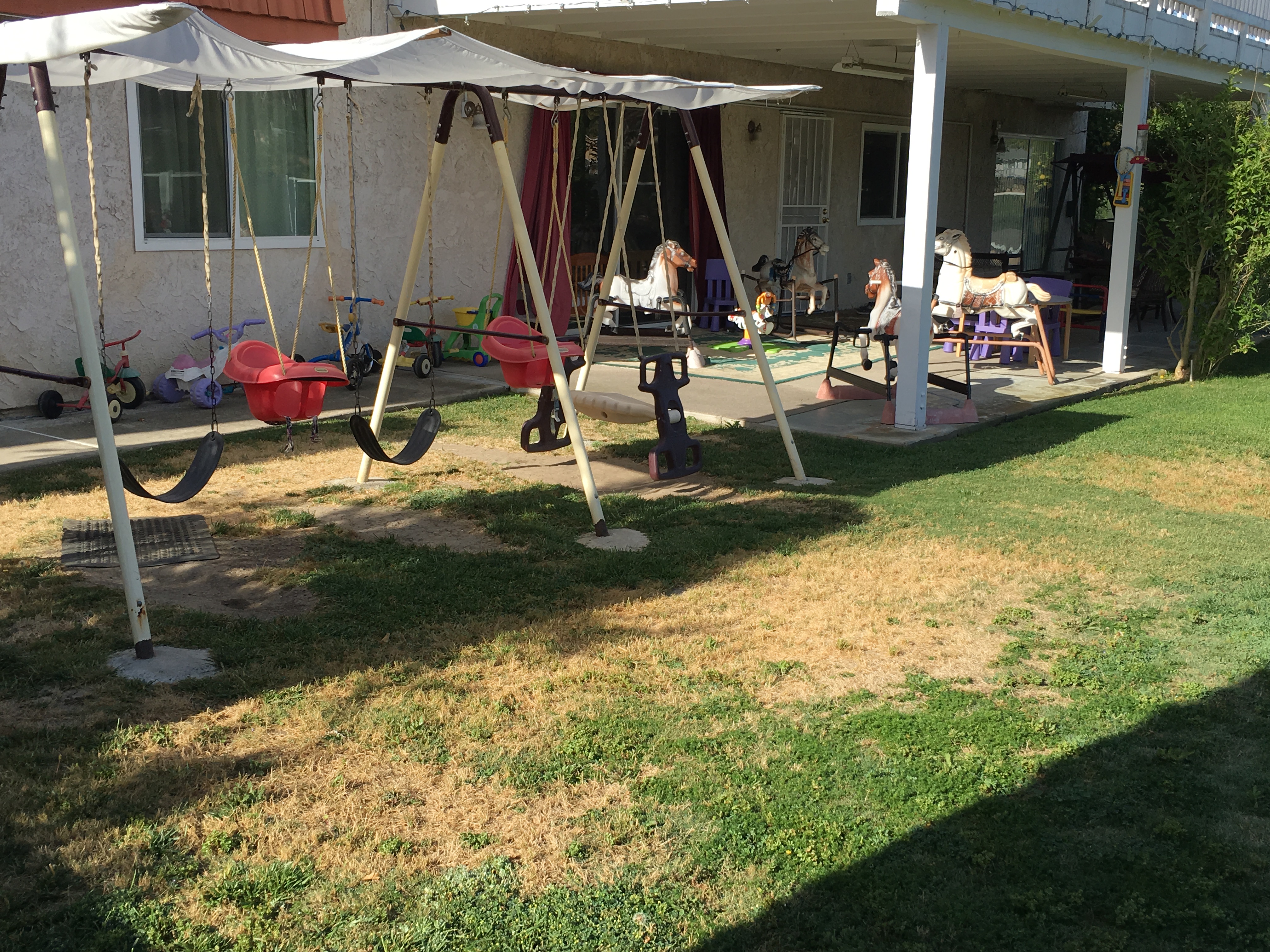 Happy Angels Haven's Photo