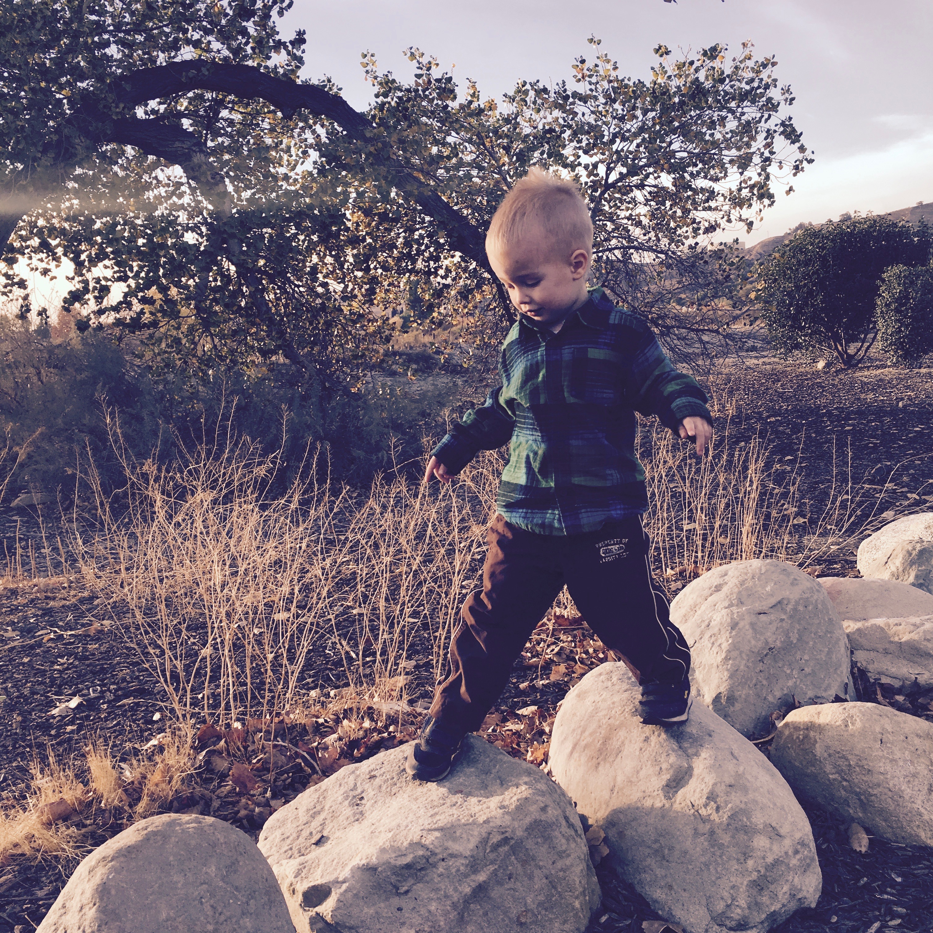 The Urban Garden Table's Photo