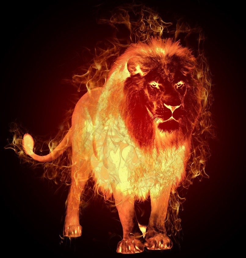 Second Chance Cleaning Service's Photo