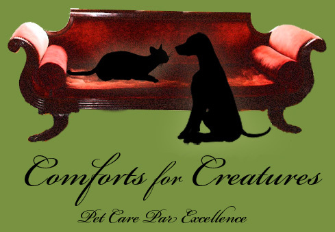 Comforts For Creatures's Photo
