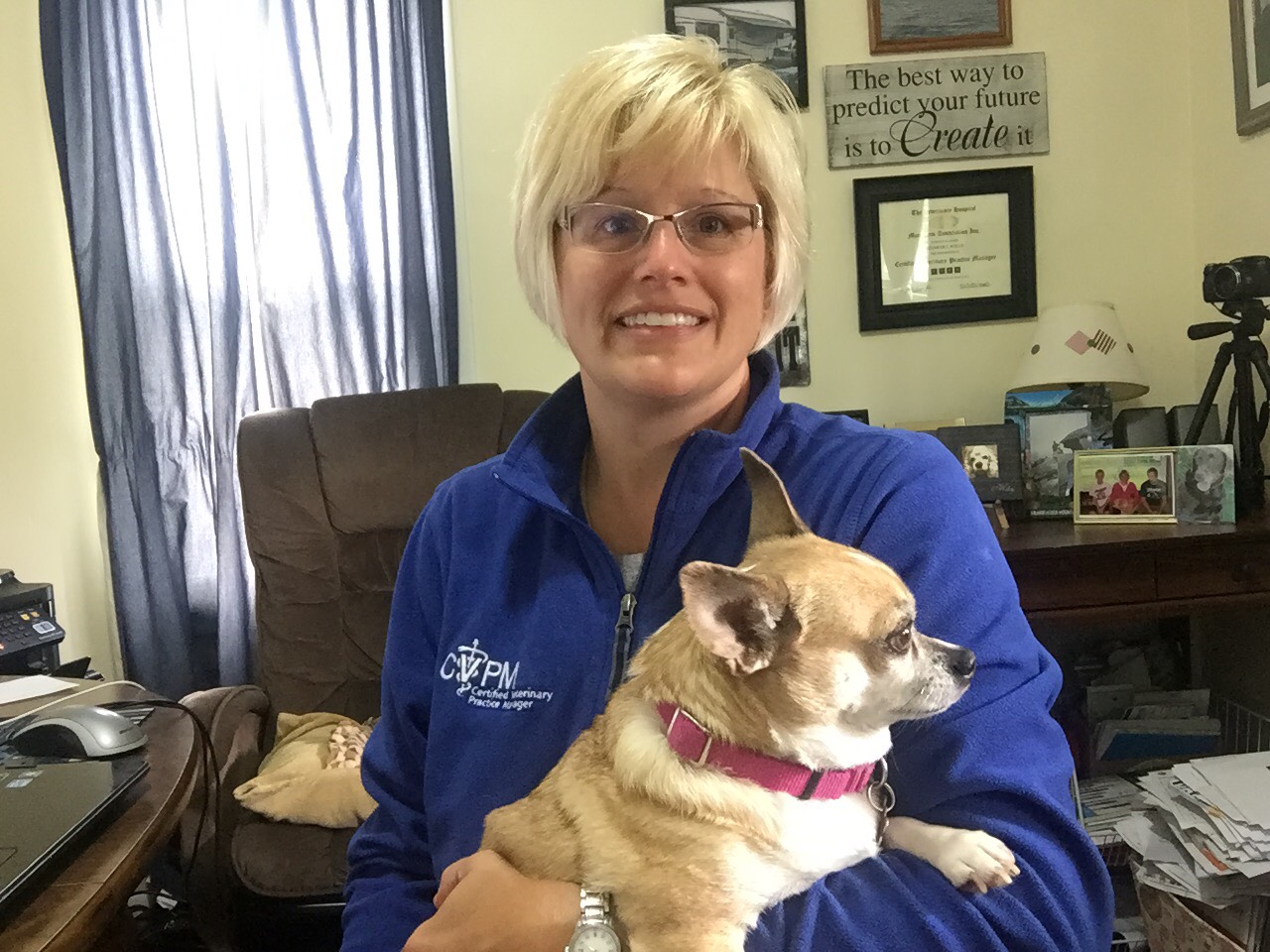 The Life Work Balance LLP Pet Care Services's Photo
