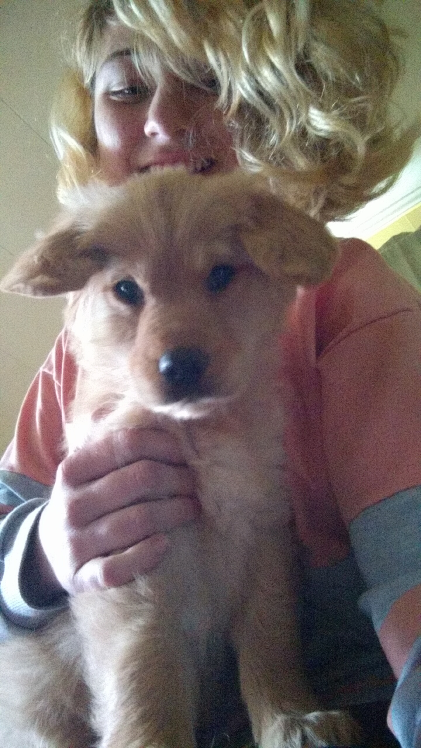 Hands to Paws Animal Care's Photo