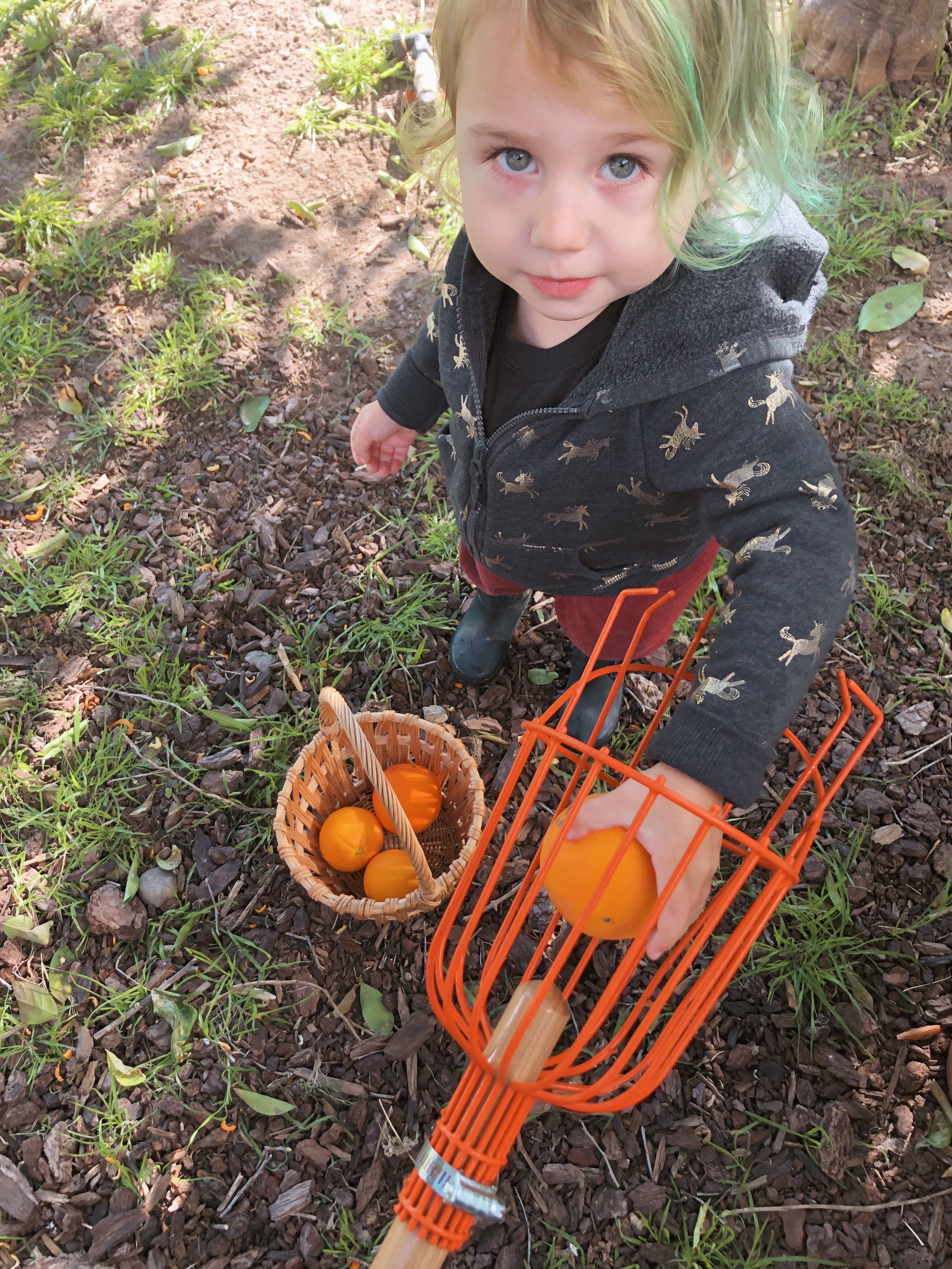 Nurture & Grow's Photo