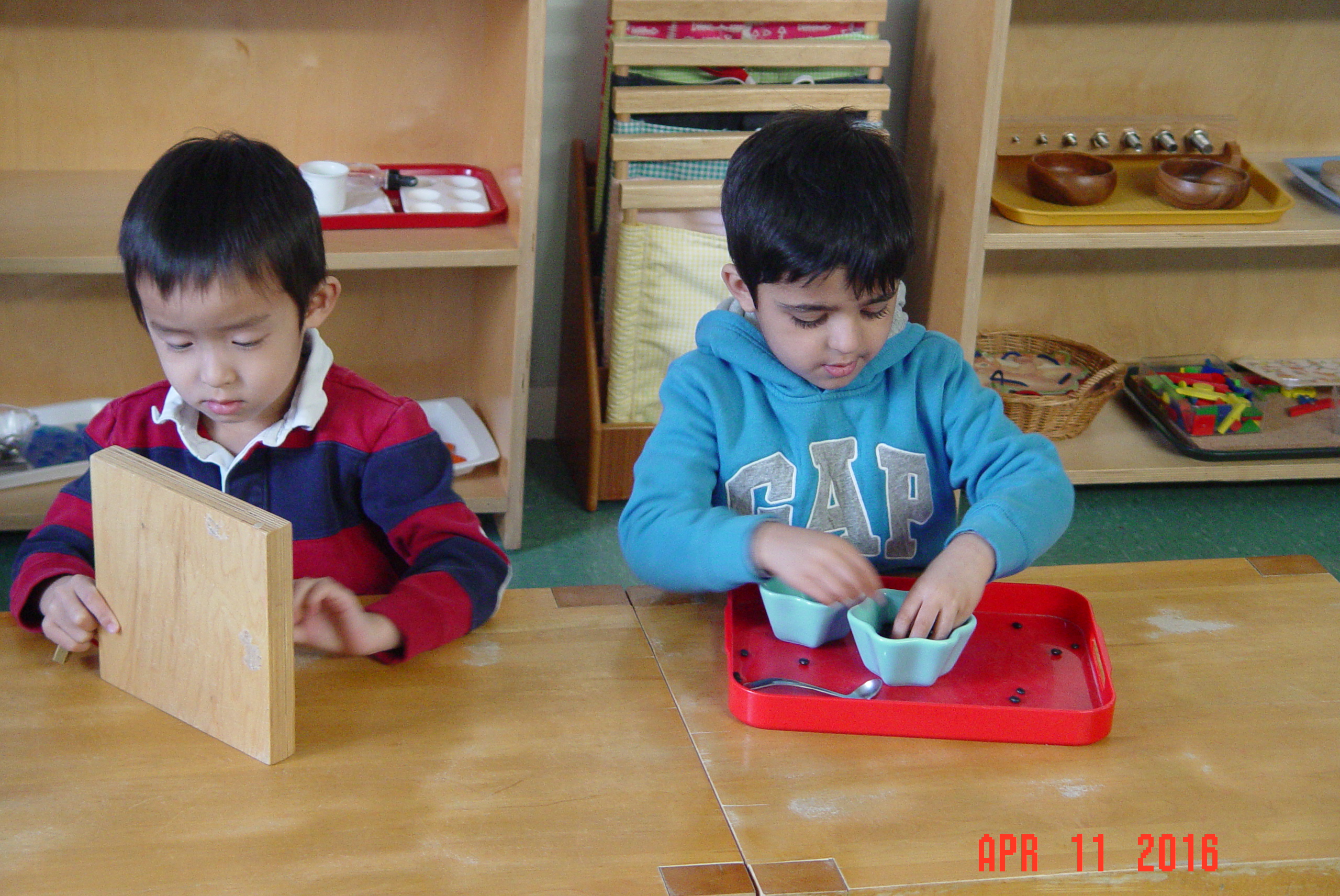 King's Wood Montessori School's Photo