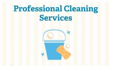 Professional Cleaning Services Logo