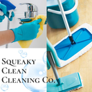 Squeaky Clean Cleaning Co.