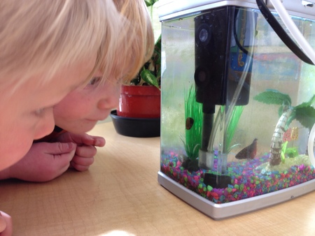 First Presbyterian Preschool's Photo