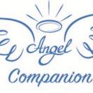 Angel Companion