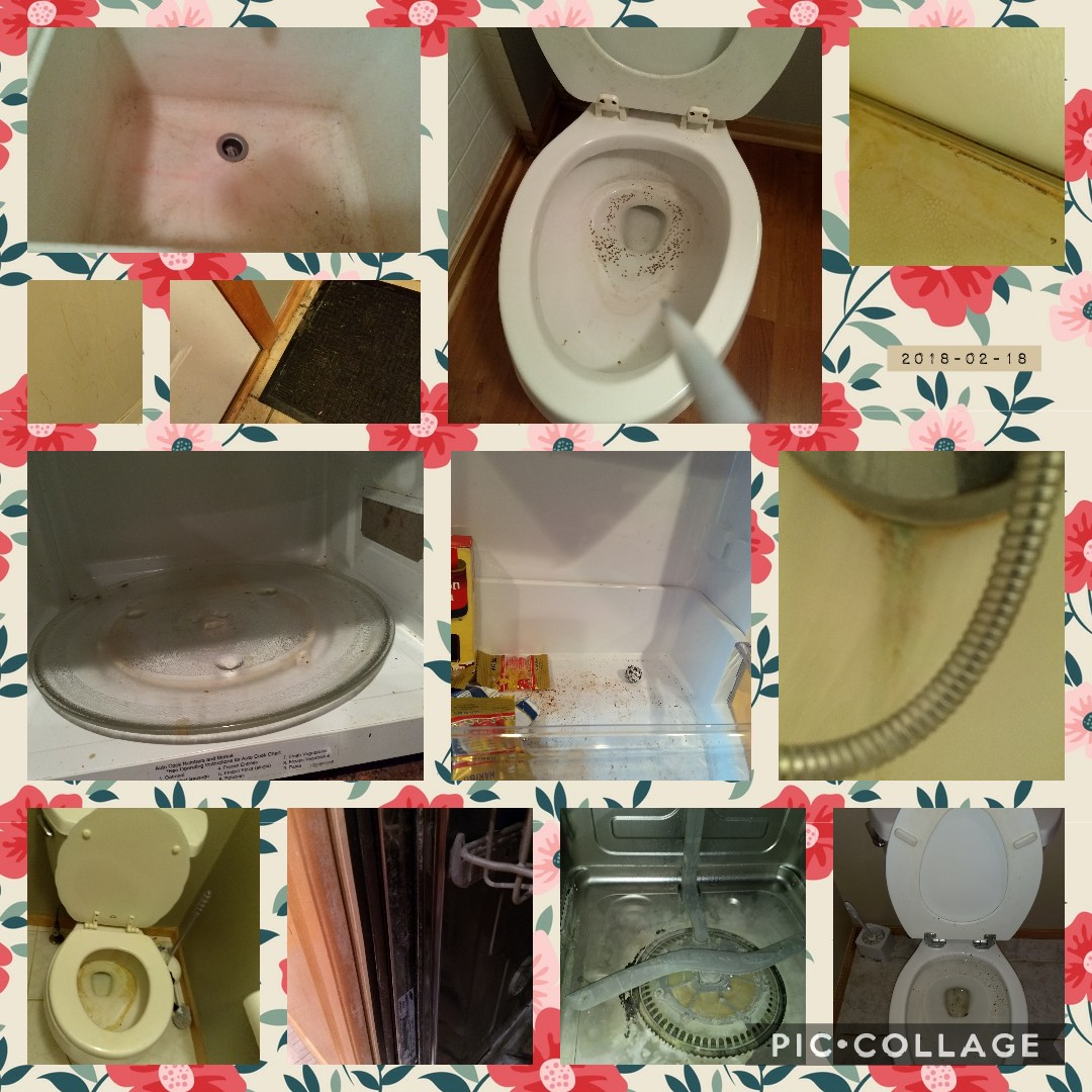 Zayne & Sis' Maid Cleaning Services's Photo