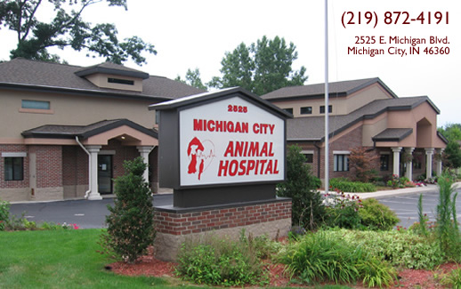 Michigan City Animal Hospital's Photo