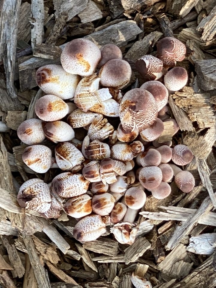 Anothen Preschool Academy's Photo