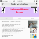 Professional Cleaning Services