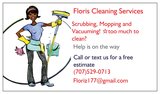 Floris Cleaning Services