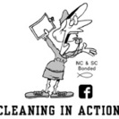 Cleaning In Action, LLC