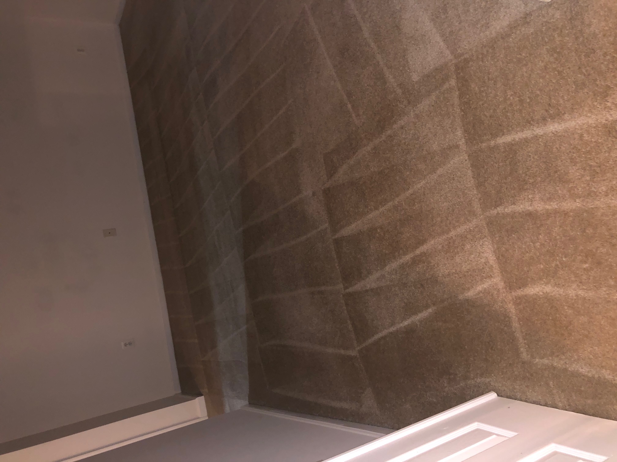 Alexis  Cleaning Company's Photo