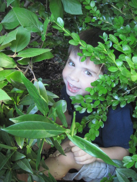Congregation Beth Israel Preschool and Kindergarten's Photo