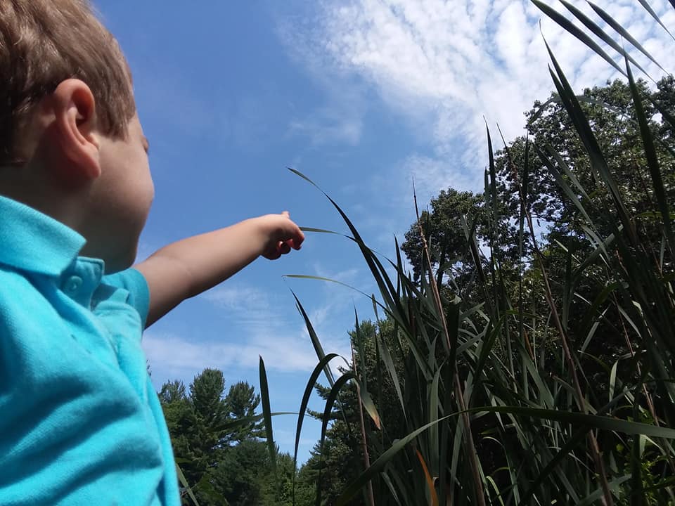 Nurture & Nature Children's Center's Photo