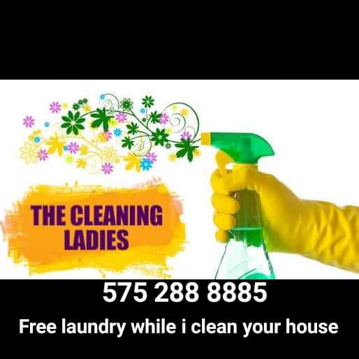 The Cleaning ladies's Photo