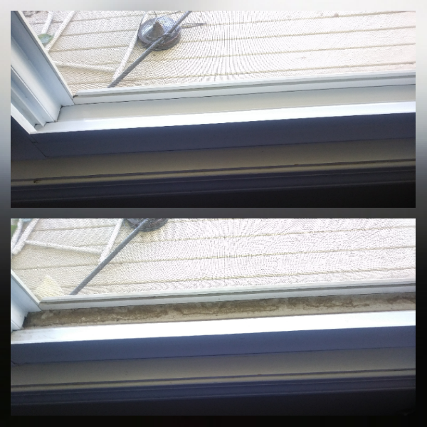Leigh's Mean Clean Services's Photo