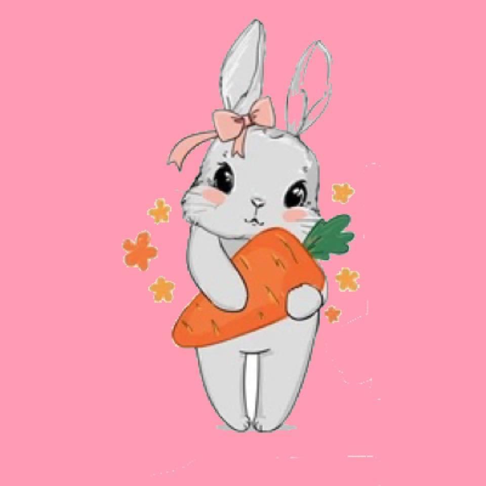 Dust Bunnies Cleaning Services's Photo