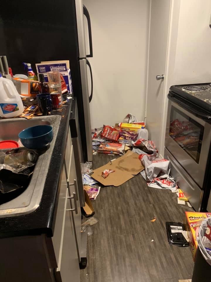 Boss Lady Cleaning and Laundry's Photo