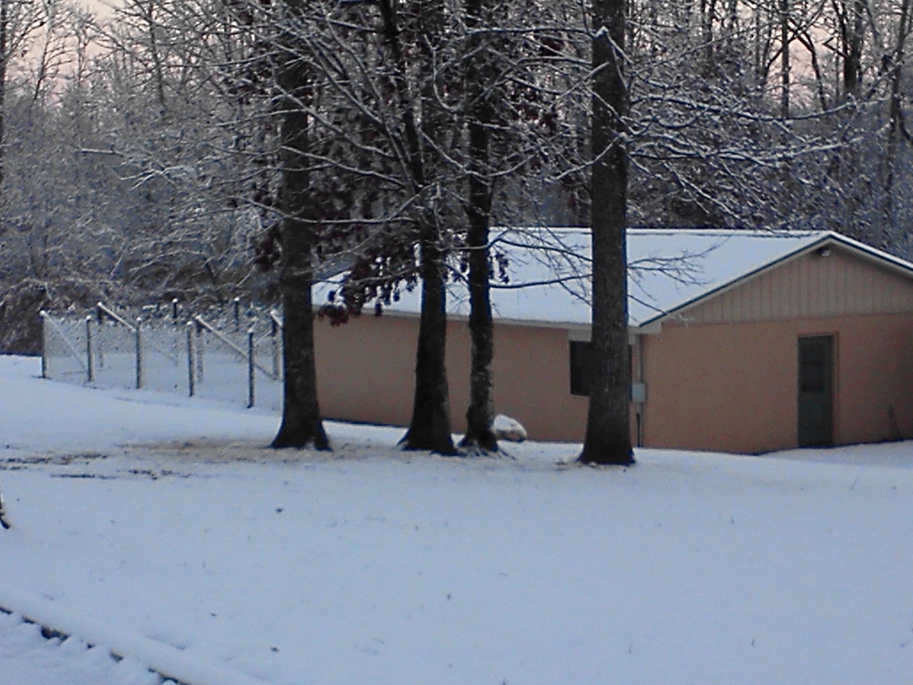 Chess Creek Kennel & Pet Resort, LLC's Photo