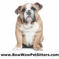 Bow Wow Dog Walking & Pet Sitting