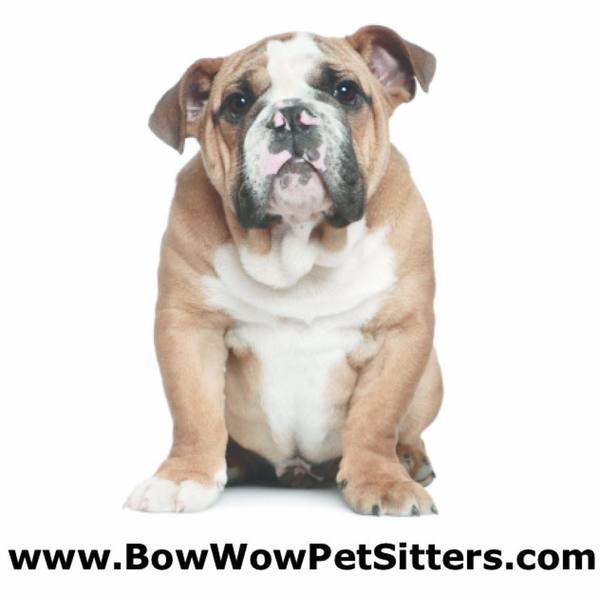 Bow Wow Dog Walking & Pet Sitting Logo