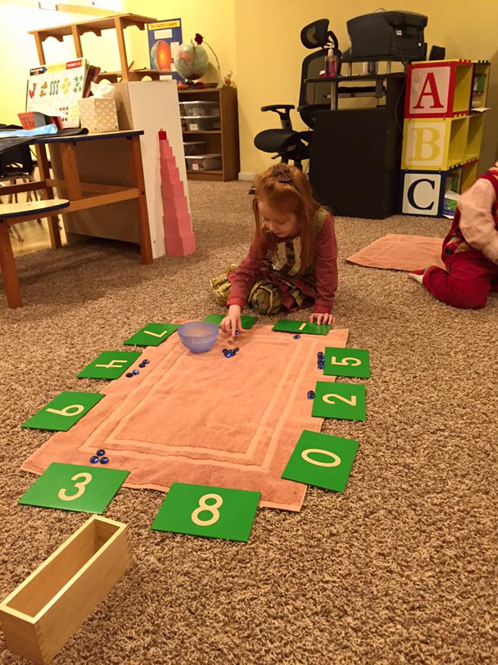 Delaware Montessori's Photo