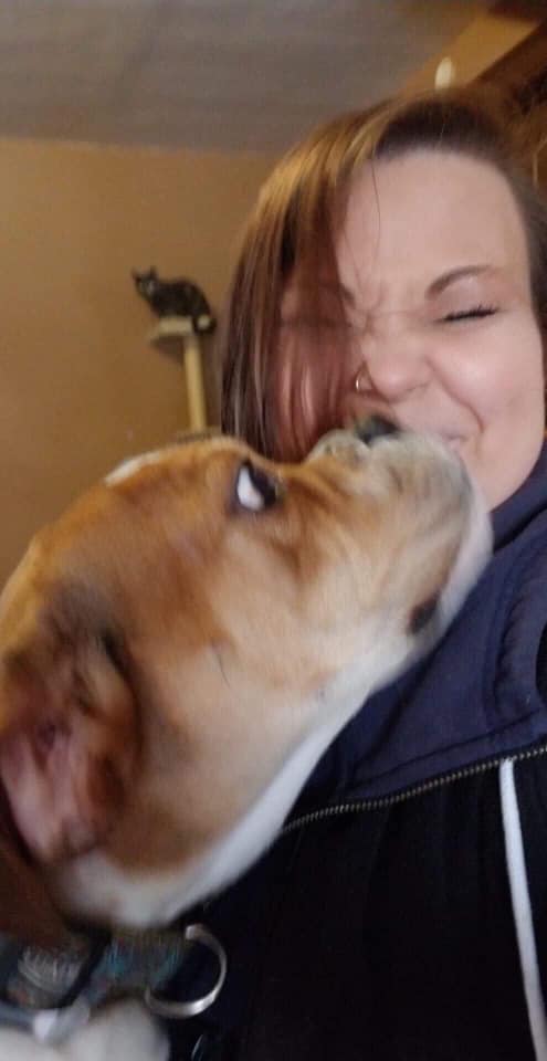 Betterment Pet Care's Photo