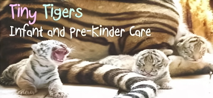 Tiny Tigers Infant & Pre-Kinder Care LLC's Photo