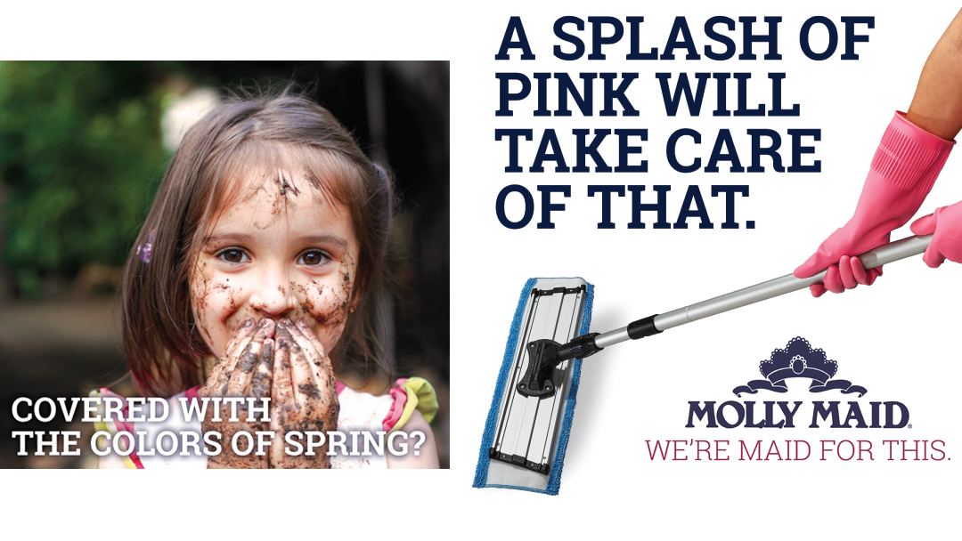 MOLLY MAID of Bonney Lake, Auburn, Enumclaw's Photo