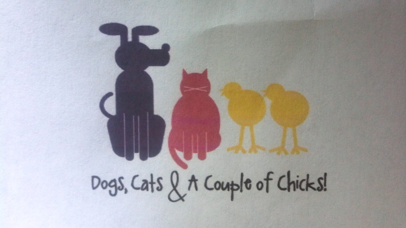Dogs, Cats & a Couple of Chicks, Inc.'s Photo