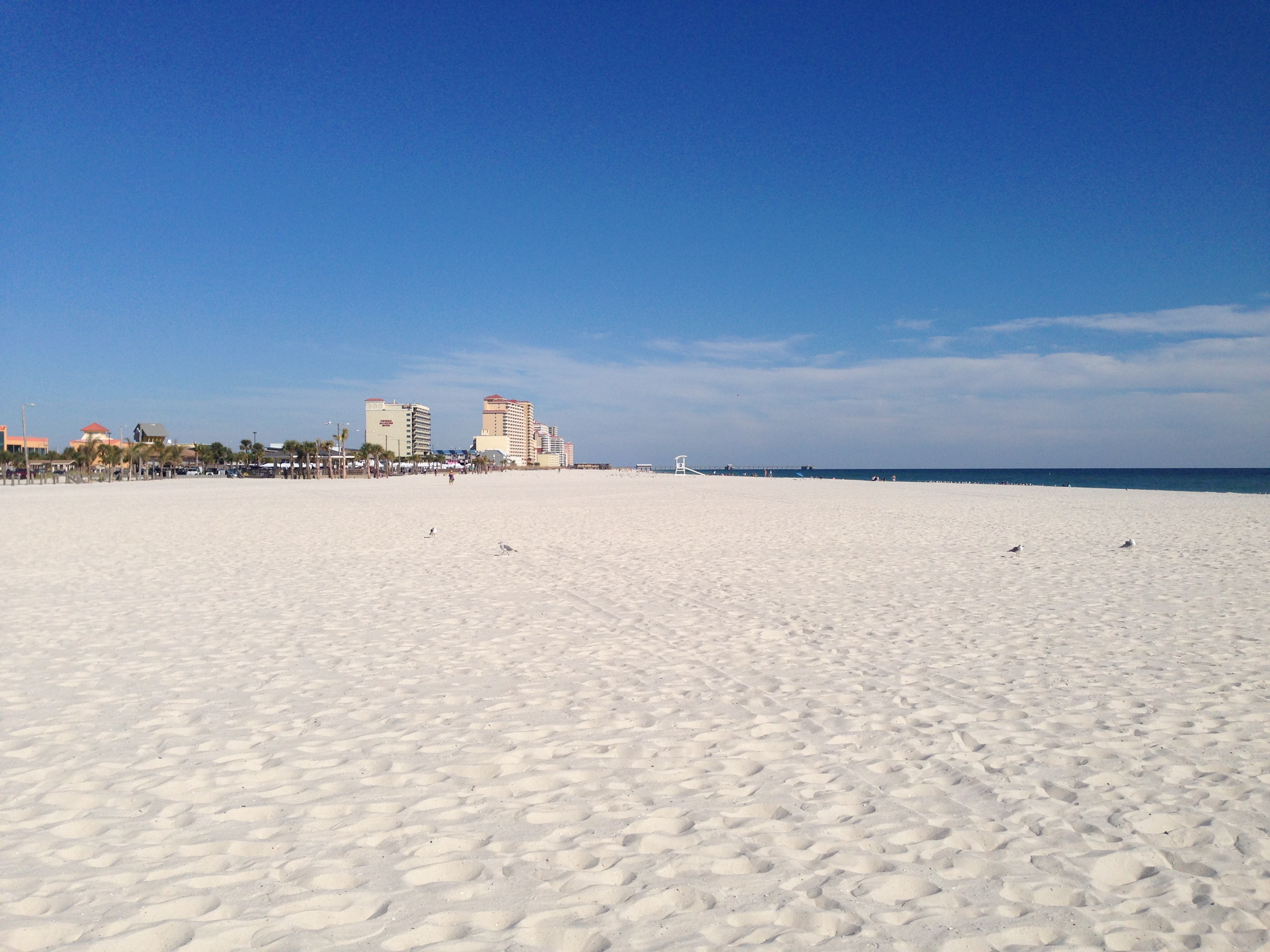 Visiting Angels of Coastal Alabama's Photo