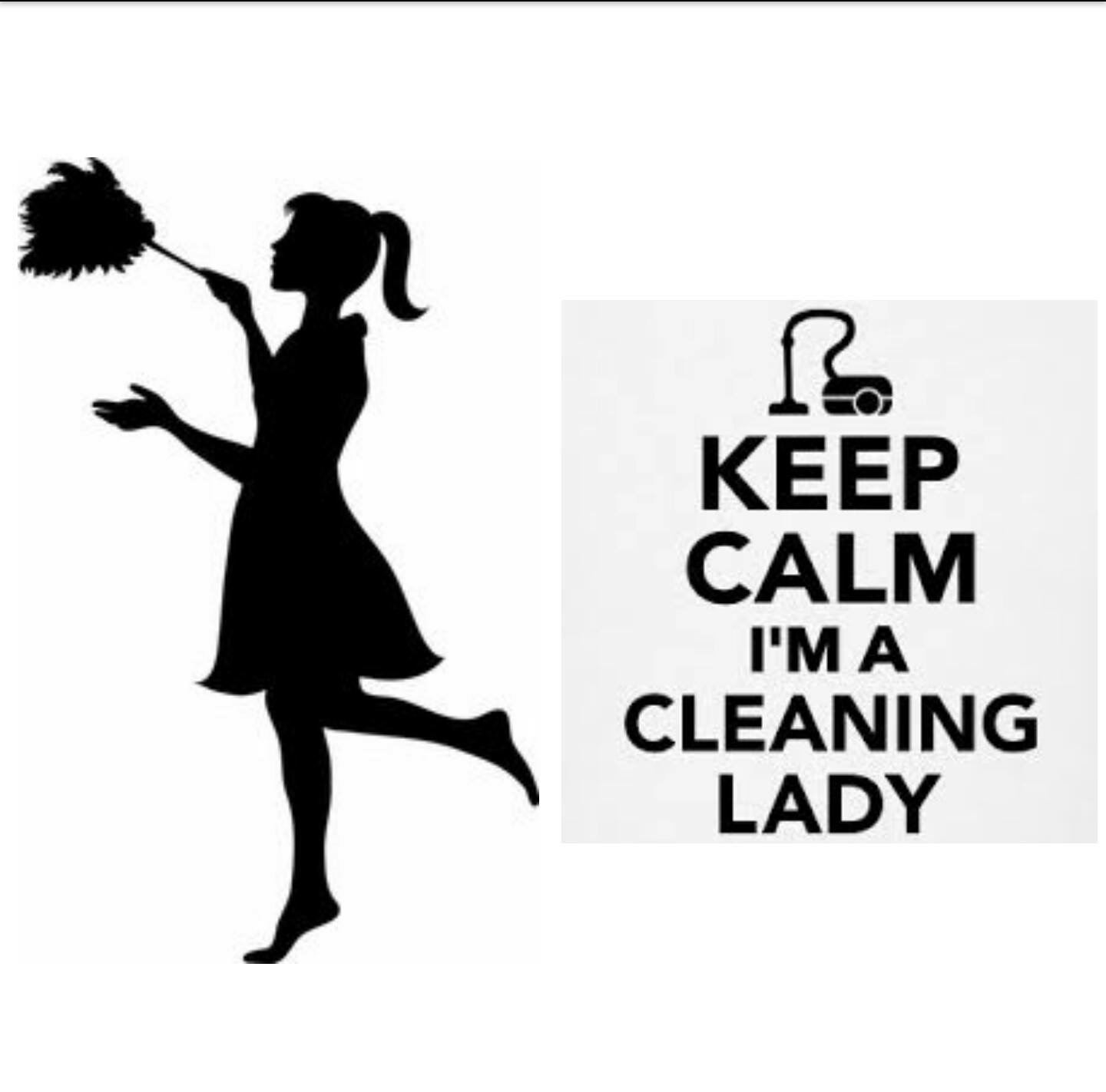 Organic Green Clean LLC's Photo