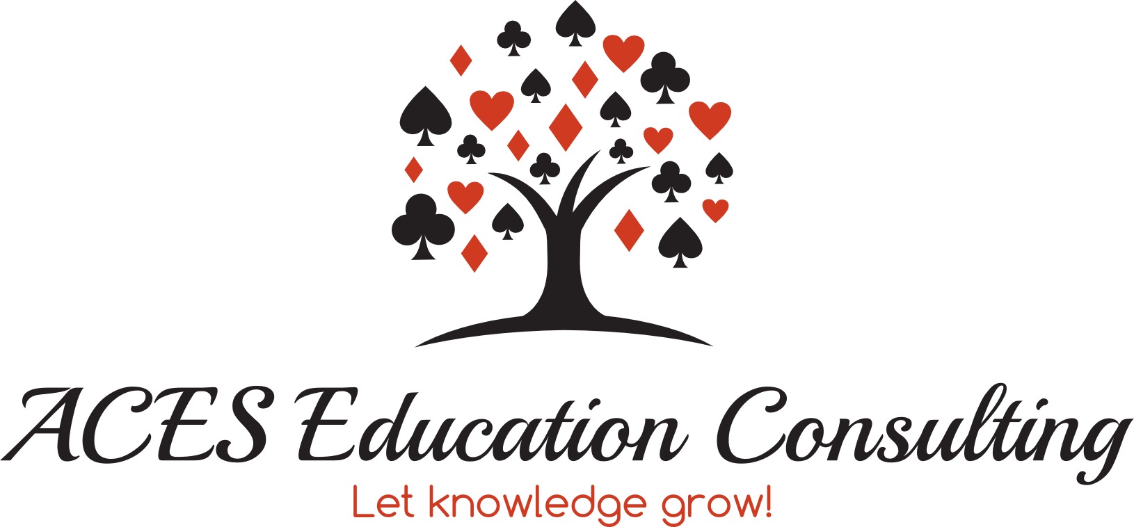 ACES Education Consulting's Photo