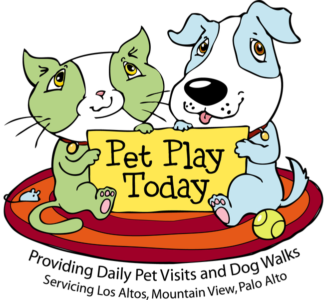 Pet Play Today Sitting's Photo