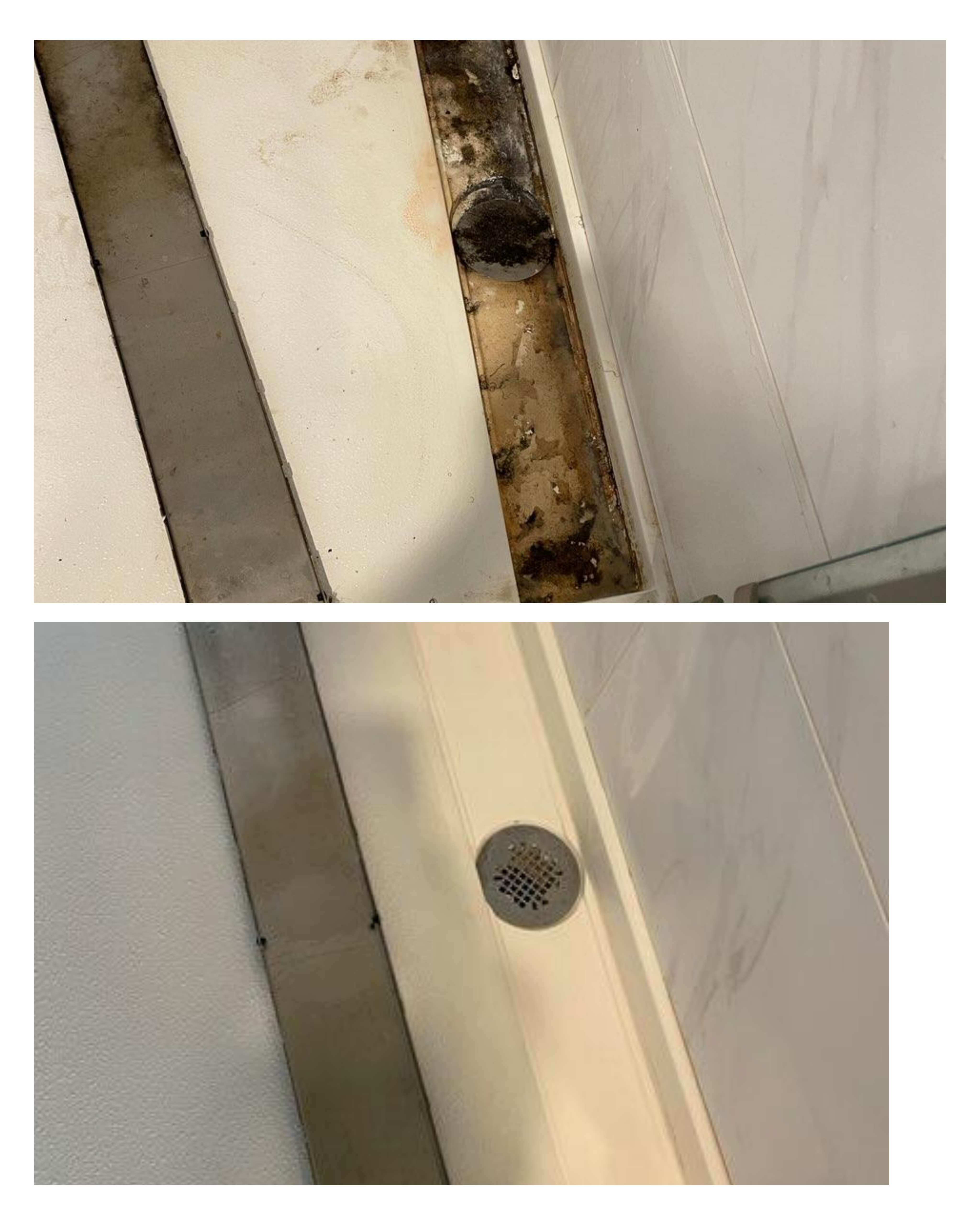 Perfect Match Maids's Photo