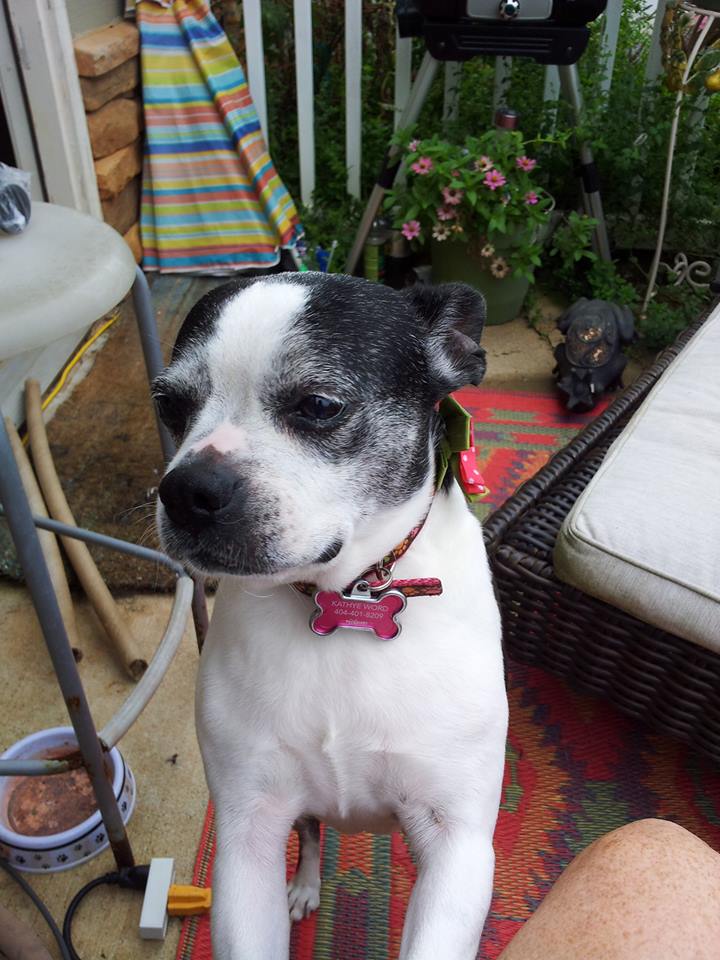 The Kat's Meow's Photo