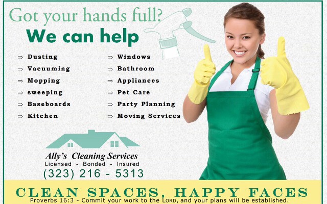 Ally's Cleaning Service's Photo