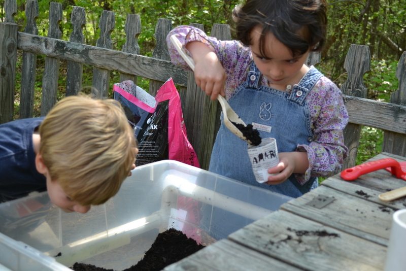 Piedmont Progressive Preschool's Photo