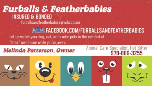 Furballs And Featherbabies Logo