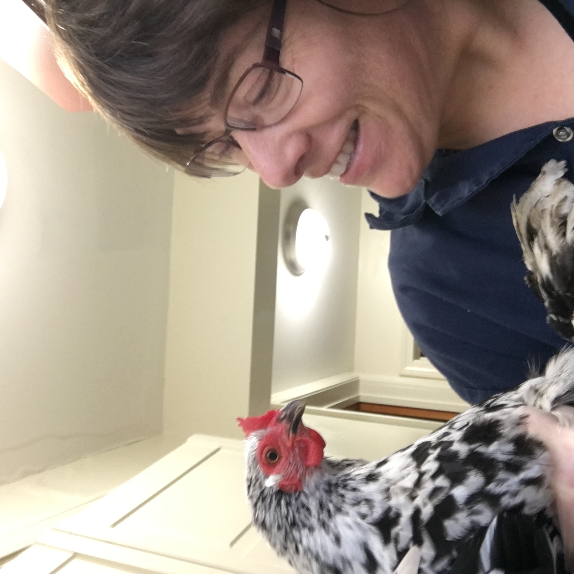 Desi's Cat Cottage & Animal Care, LLC's Photo