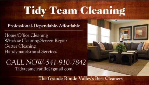 Tidy Team Cleaning's Photo