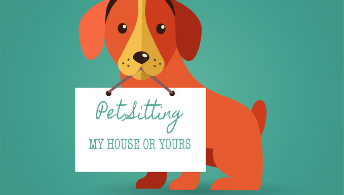 Leashes & Loves's Photo