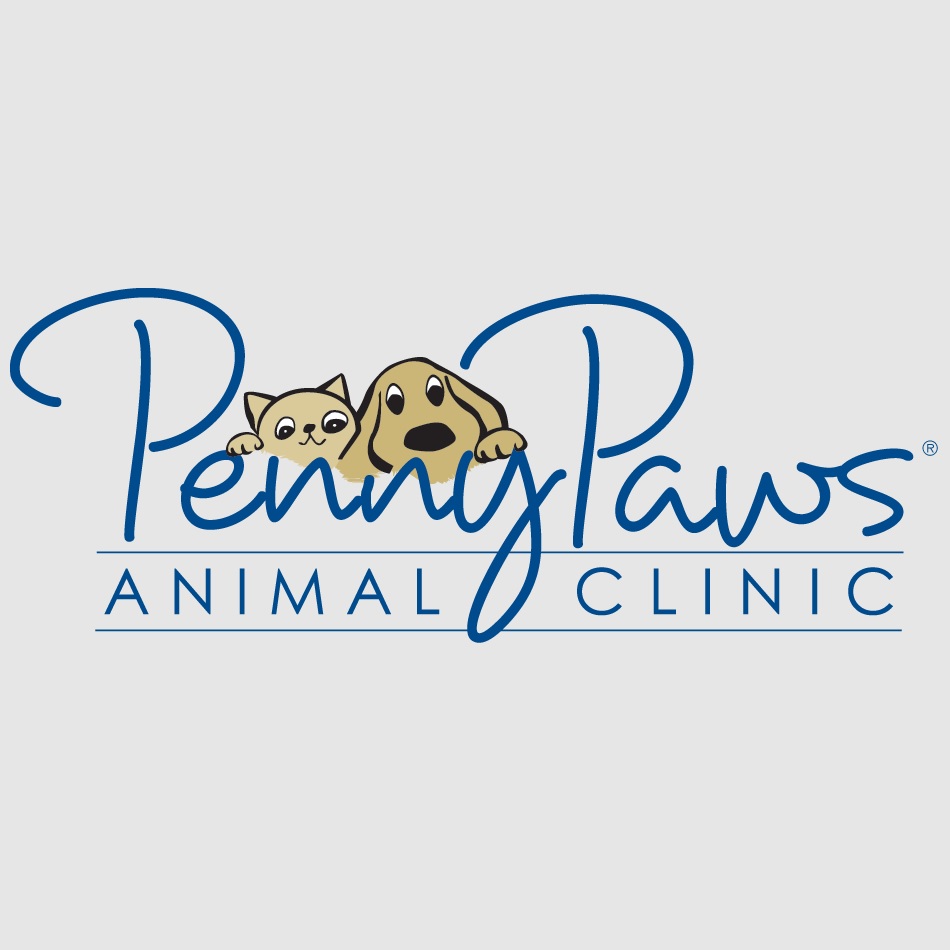 Penny Paws Animal Clinic's Photo
